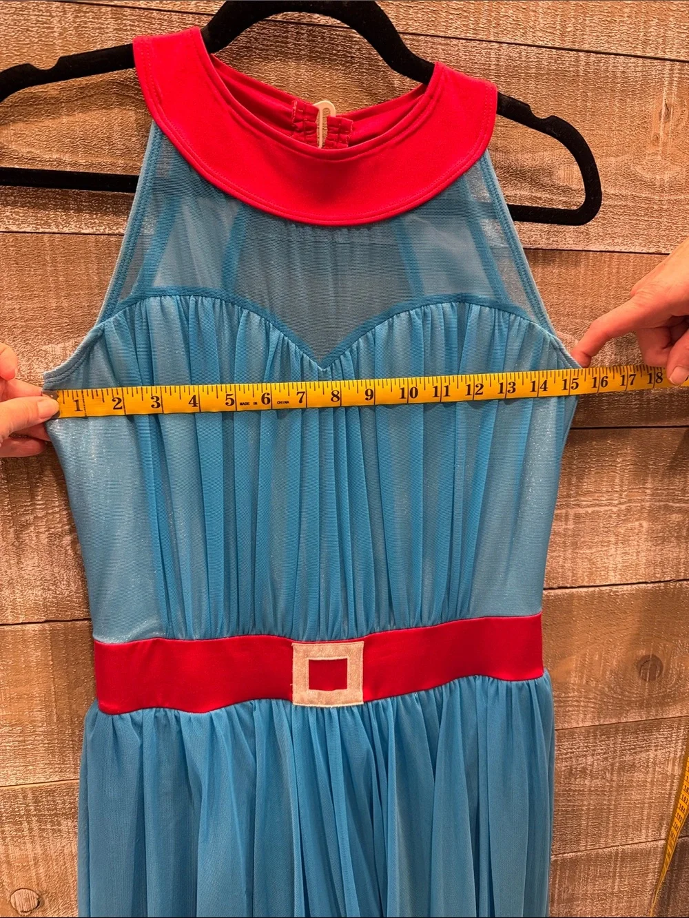 The Lineup Adult L Blue Tulle Dress with Red Collar and Belt